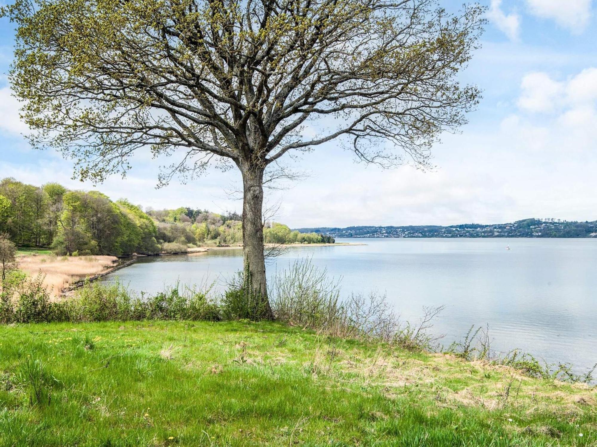 4 Person Holiday Home In B Rkop ボルコップ エクステリア 写真